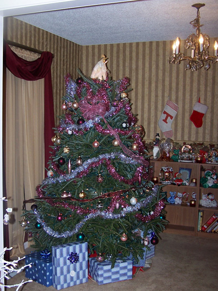 Another view of the live tree.