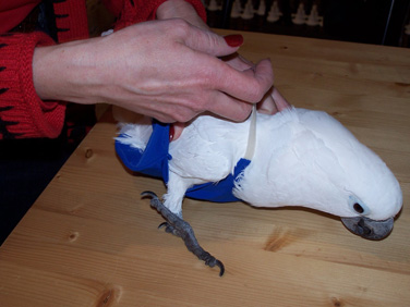 100_0550.jpg