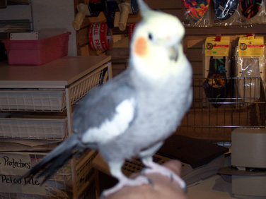 100_0562.jpg