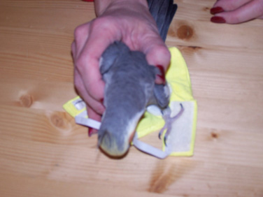 100_0565.jpg
