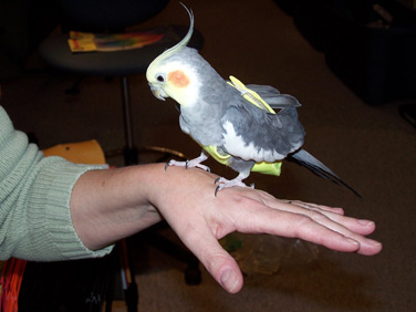 100_0575.jpg