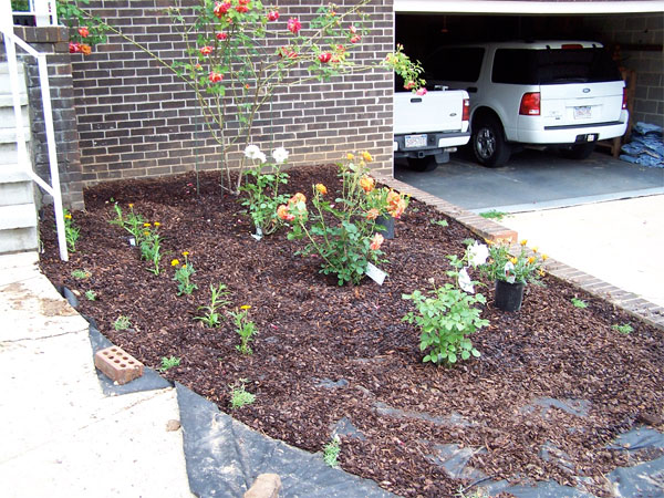 garden30405.jpg