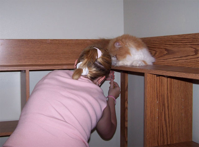 Kittyboy supervising Megan