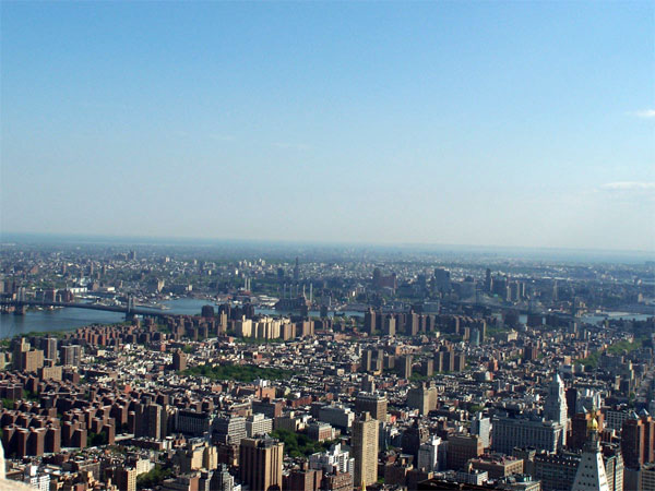 1050.jpg