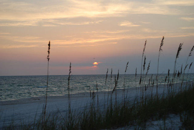 DSC_0015.jpg