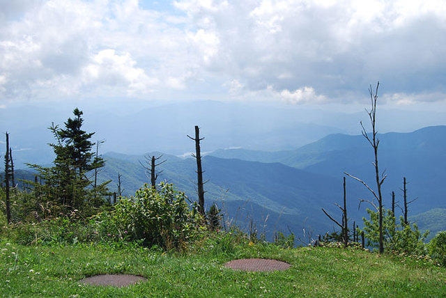 DSC_0067.jpg