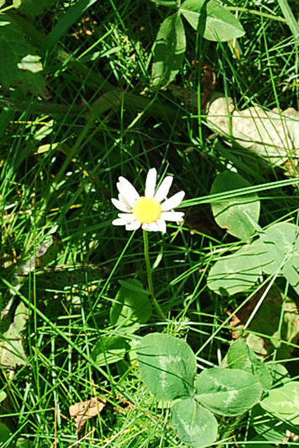 DSC_0070.jpg
