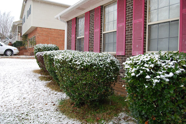 DSC_0009.jpg