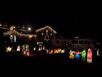 Another view of "Santa's" yard.