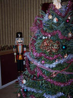 Nutcracker behind the tree.