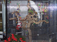 100_0543.jpg