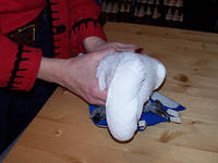 100_0549.jpg