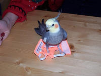 100_0560.jpg