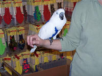 100_0563.jpg