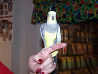 100_0569.jpg