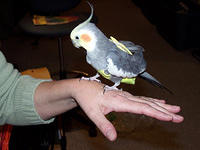 100_0575.jpg