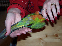 100_0576.jpg