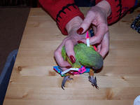 100_0578.jpg