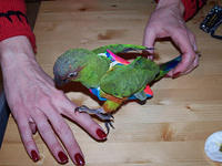 100_0580.jpg