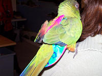 100_0587.jpg