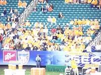 100_0087.JPG