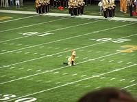 100_0120.JPG