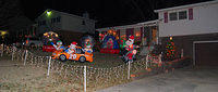 More of the Front Yard
