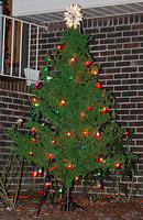 Our "Yard" Tree