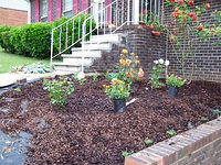 garden10405.jpg
