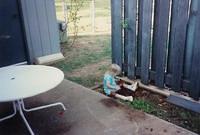 Playing in the dirt - Gunter AFS