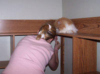 Kittyboy supervising Megan