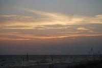 DSC_0030.jpg