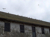 100_2216.jpg
