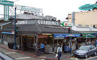 Guided Bus Tours Golden Gate Bridge Loop and City Loop