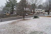 Snow in Alabama - Jan 19, 2008